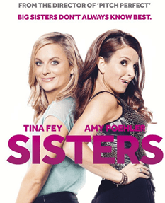 sisters movie review poster