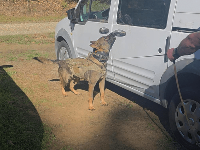 Internships in the Criminal Justice major